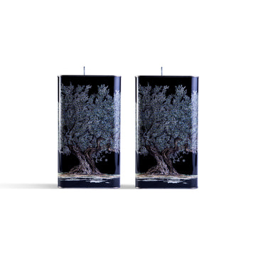 Olio Extravergine di Oliva Biologico | Set 2 lattine Olio Proscia da 3 Litri